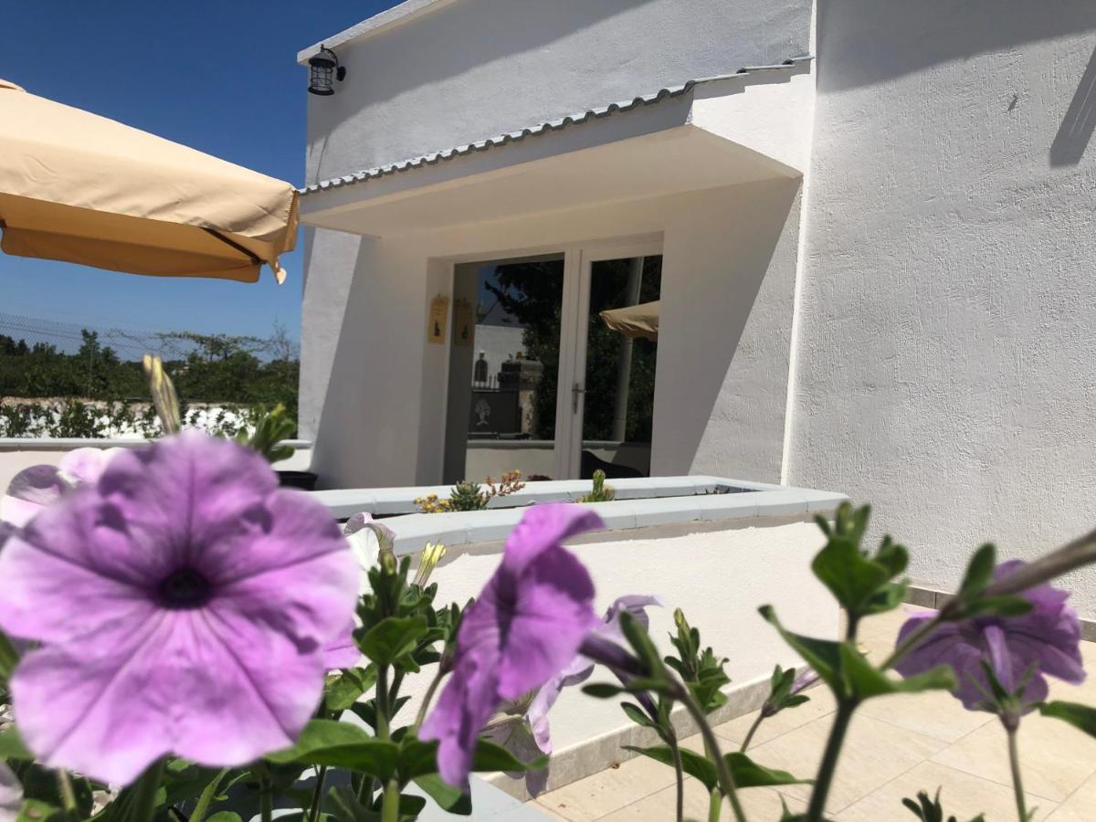 Casa Vacanza I Cedri Мартина-Франка Экстерьер фото